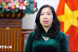 La viceministra de Relaciones Exteriores, Le Thi Thu Hang. (Fuente: VNA)