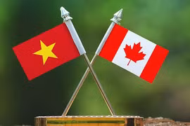 Vietnam y Canadá amplían cooperación en industrias avanzadas