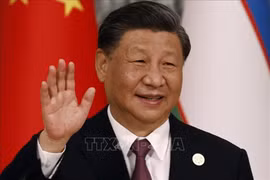 El secretario general del Partido Comunista y presidente de China, Xi Jinping. (Fuente: AFP/VNA)