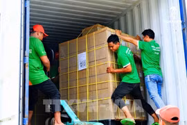 Personal de Sokfarm prepara el envío de exportación a EE.UU. (Foto: VNA)