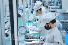 Actividades de producción en Bumjim Electronics Vina Co., Ltd. (empresa de capital 100 % surcoreano) en la provincia de Quang Ninh. (Fuente: VNA)