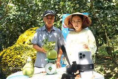 Un livestream que promocionan productos de pomelo verde procedentes de huertos en la comuna de Cho Lach, provincia de Vinh Long. (Foto: VNA)
