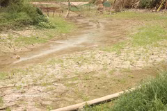 Se prevé la sequía generalizada e intrusión de agua salada en el delta del Mekong durante la estación seca de 2026-2027. (Foto: VNA)