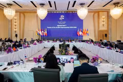 La 29.ª Reunión de Ministros de Trabajo de la ASEAN (ALMM) en Bangkok, Tailandia (Foto: VNA)