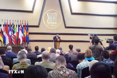Una reunión de la ASEAN el año pasado (Fuente: VNA)