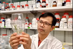 El doctor Quach Truyen (Foto: VNA)