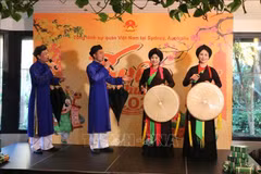 Una presentación de canto tradicional vietnamita en el evento (Fuente: VNA)