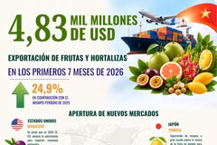 Exportaciones de frutas y hortalizas alcanzan 4.830 millones de dólares y amplían mercados 