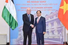 El viceprimer ministro y canciller del país indochino, Bui Thanh Son, recibe a Riad Malki, asesor del Presidente para Asuntos Internacionales y enviado especial del Estado de Palestina. (Fuente: VNA)