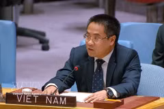 El ministro consejero Nguyen Hai Luu, subjefe de la misión permanente de Vietnam ante la ONU, pronuncia un discurso en la sesión de debate (Fuente: VNA)