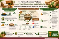 Sector maderero de Vietnam trabaja por convertirse en centro de producción líder del mundo