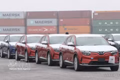 Los coches eléctricos VinFast se ensamblan en el puerto de Hai Phong, listos para su exportación. (Foto: VNA)