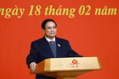 El primer ministro Pham Minh Chinh pronuncia su discurso en la reunión (Fuente: VNA)