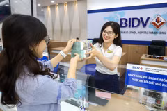 Varios bancos impulsan el crédito verde para impulsar el crecimiento sostenible en Vietnam. (Foto: Vietnam+) 