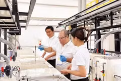 Línea de producción de la fábrica de Onaga, Japón, en el Parque Industrial HANSSIP. (Foto: nhandan.vn)