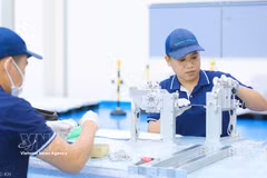La producción de chip en Vietnam (Fuente: VNA)