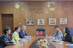 En la sesión de trabajo (Foto: VNA)