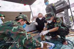 El Comando Militar de la ciudad de Da Nang halla numerosos objetos en una fosa común que contiene los restos de 17 soldados caídos en la comuna de Thu Bon, ciudad de Da Nang. (Foto: VNA)