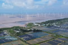 Proyecto de energía eólica marina en la comuna de Dong Hai, provincia de Ca Mau. (Foto: VNA)