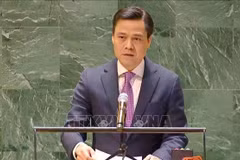 El embajador Dang Hoang Giang, jefe de la misión permanente de Vietnam ante la ONU, habla en la ceremonia (Fuente: VNA)