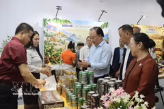 Los delegados visitan los stands en la feria (Foto: VNA)