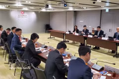 Sesión de trabajo entre la delegación del Comité Popular de Ciudad Ho Chi Minh y la Oficina de Política Digital de Hong Kong. (Foto: VNA)