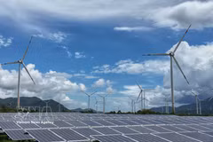 Khanh Hoa cuenta con numerosas ventajas para desarrollar proyectos de energías renovables y nuevos sectores energéticos conforme a la planificación. (Foto: VNA)