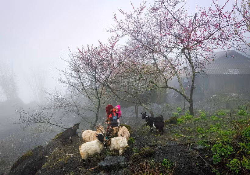 La belleza natural y la vida de la gente de Ha Giang tienen un atractivo especial. (Foto: Vietnam+)