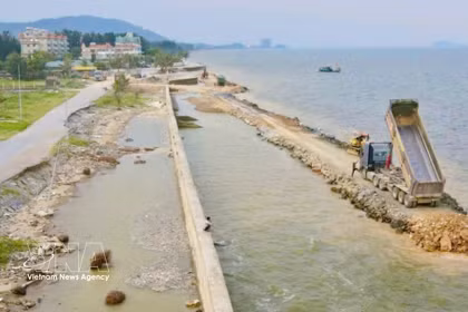 La provincia de Thanh Hoa está acelerando urgentemente la construcción de diques y terraplenes críticos. (Fuente: VNA)