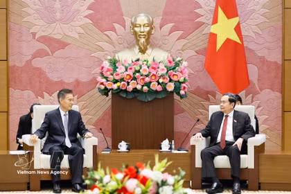 El presidente de la Asamblea Nacional de Vietnam, Tran Thanh Man, recibe a Zhong Shan, titular del Comité de Asuntos Financieros y Económicos de la Asamblea Popular Nacional de China. (Fuente: VNA)