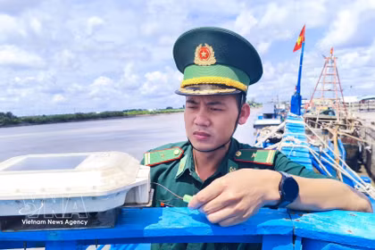 El mayor Phan Minh Vuong, jefe del Puesto de Control de la Guardia Fronteriza de Ganh Hao (dependiente de la Guardia Fronteriza de la provincia de Ca Mau), inspecciona personalmente el Sistema de Monitoreo de Buque (VMS) en un barco pesquero. (Foto: VNA)