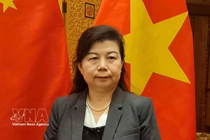 Liu Ying, investigadora del Instituto de Estudios Financieros de Chongyang de la Universidad Renmin de China. (Fuente: VNA)