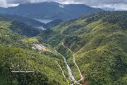 Despiertan potencial económico de zonas forestales y montañosas en Da Nang