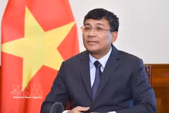 El viceministro permanente de Relaciones Exteriores de Vietnam, Nguyen Minh Vu. (Foto: VNA)