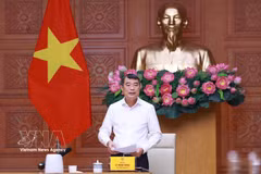 Primer ministro vietnamita exige perfeccionar el sistema legal para impulsar el crecimiento (Foto: VNA)