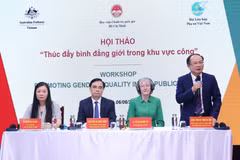 Presentan resultados piloto de Índice de Igualdad de Género para sector público vietnamita 