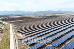 Desarrollo de energía solar en techos en la provincia vietnamita de Ninh Thuan. (Foto: VNA)