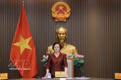 La viceprimera ministra Pham Thi Thanh Tra preside la conferencia del Comité Nacional sobre las Personas Mayores de Vietnam (Foto: VNA)