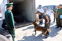 Vietnam intensifica lucha contra drogas. (Foto: VNA)