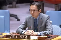 El embajador Do Hung Viet, jefe de la Misión permanente de Vietnam ante la ONU. (Foto: VNA)