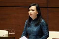 La exministra de Salud Nguyen Thi Kim Tien (Foto: VNA)