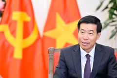 El viceministro de Relaciones Exteriores Nguyen Manh Cuong. (Foto: VNA)