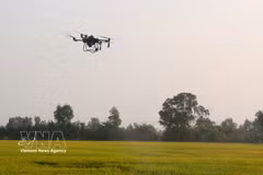Vietnam refuerza la gestión y vigilancia de los drones (Foto: VNA)