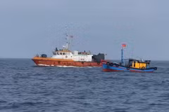 Provincia de Quang Tri endurece control en la salida de barcos pesqueros (Foto: VNA)