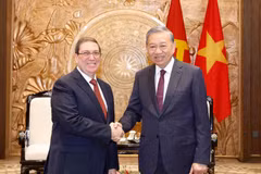 Líder partidista vietnamita recibe al enviado especial del Estado cubano