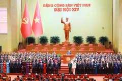 Analistas internacionales destacan la firmeza y renovación de Vietnam