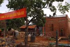 Provincia vietnamita de Gia Lai completa entrega de 100 viviendas nuevas para damnificados