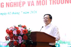 El viceprimer ministro Ho Quoc Dung (Foto: VNA)