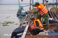 Dong Thap supervisa de cerca actividad de barcos pesqueros. (Foto: VNA)