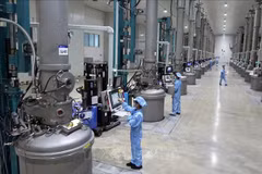 Cadena de producción en la empresa JA Solar Vietnam. (Foto: VNA)